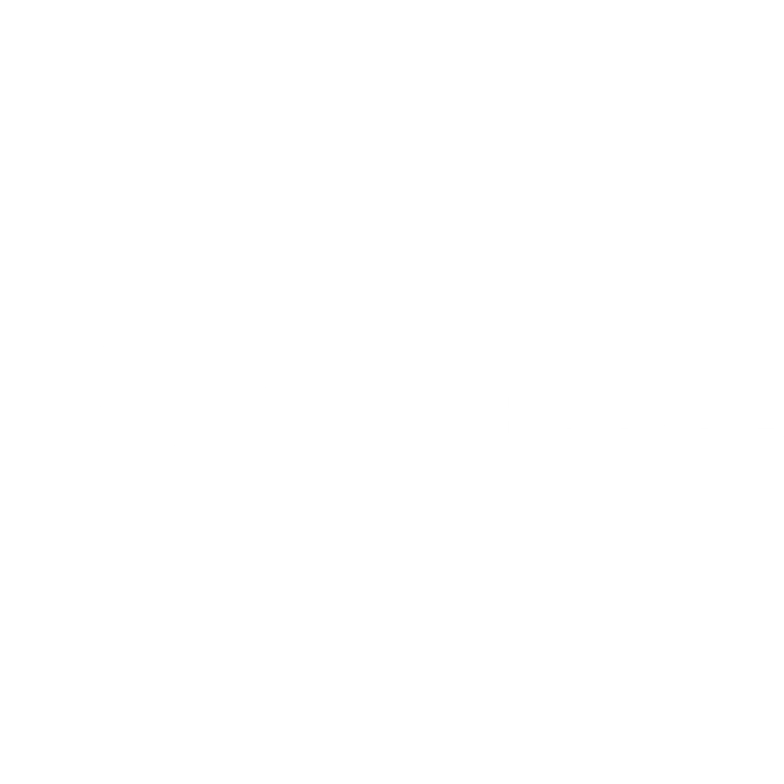 DOOGEE